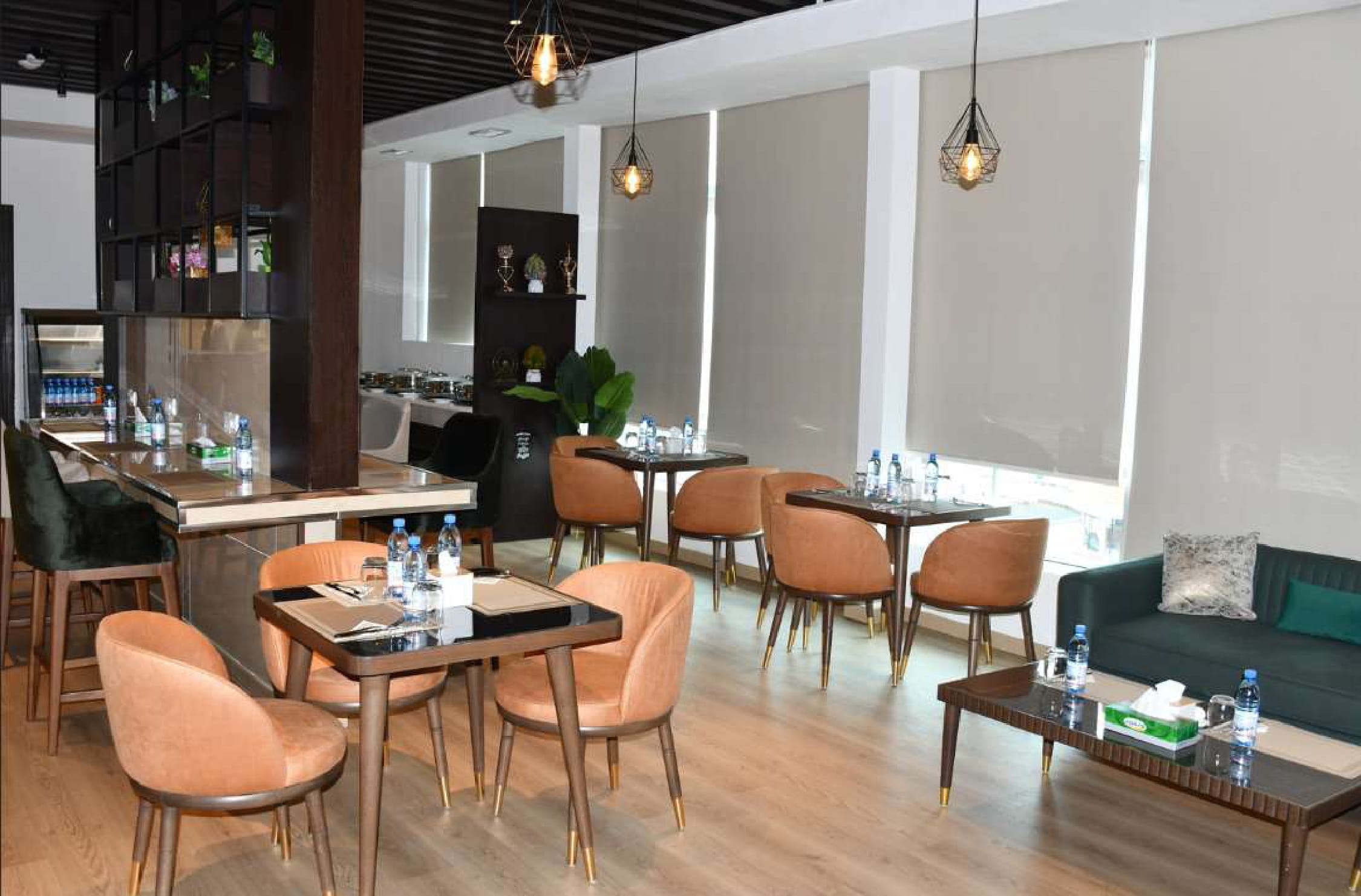 Bravia Platinum Lounge